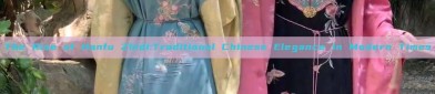 The Rise of Hanfu Zhidi:Traditional Chinese Elegance in Modern Times