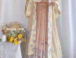 The Tang Dynastys Marital Customs and the Splendor of Hanfu Wedding Attire