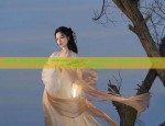 Hanfu Song Style:A Journey into the Traditional Elegance of Chinese Ancient Clothing
