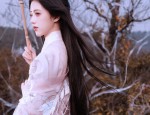 Winter Ming-Style Hanfu Collared Jacket:A Traditional Elegance
