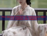 2025 Fashion Trends:Exploring the New Adult Summer Hanfu for Women