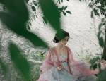 Traditional Hair Ornamentry:Exploring the Complete Set of Ancient Chinese Hanfu with Hair Combs