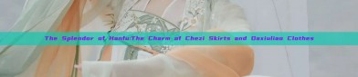 The Splendor of Hanfu:The Charm of Chezi Skirts and Daxiuliao Clothes