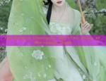 Embroidery on Traditional Hanfu Shoes:A Womans Fashionable Journey