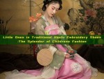 Little Ones in Traditional Hanfu Embroidery Shoes:The Splendor of Childrens Fashion