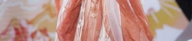 Exploring the World of Childrens Hanfu:The Song Dynasty Style for Girls