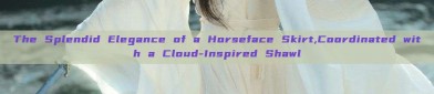 The Splendid Elegance of a Horseface Skirt,Coordinated with a Cloud-Inspired Shawl