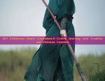 DIY Childrens Hanfu Costumes:A Crafty Journey into Traditional Chinese Fashion