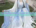 The Daily Routine of a Girl in a Cheongsam A Closer Look into the Traditional Chinese Dress