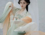 Elegant Qipao-Style Dress:A Premier Fashion Statement