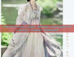 Womens Hanfu New Years Visit Robes:A Blend of Tradition and Modernity