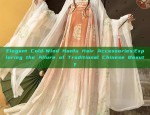 Vibrant Red Hanfu Costume for Ancient Beauty Child