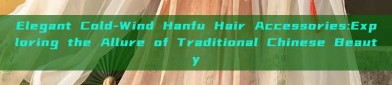 Elegant Cold-Wind Hanfu Hair Accessories:Exploring the Allure of Traditional Chinese Beauty