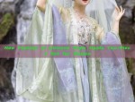 Ancient Charm of Traditional Hanfu Short-sleeved Costumes