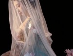 Exploring the Beauty of Ancient Womens Hanfu Costumes