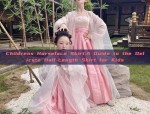 Winter Hanfu Workwear for Women:A Blend of Tradition and Modern Comfort