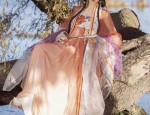 The Plum Blossom and the Fall of Hanfu:A Tale of Traditional Beauty and Cultural Heritage