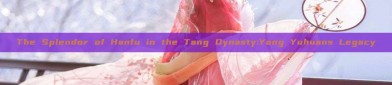 The Splendor of Hanfu in the Tang Dynasty:Yang Yuhuans Legacy