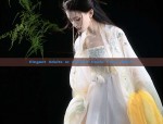 The Splendor of Traditional Chinese Costume in the Context of Deyun Societys Support