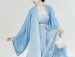 Affordable Hanfu Fashion:A Journey into the World of Budget-Friendly Traditional Attire