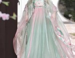 Elegant Hanfu Womens Blouse:A Single-Piece Fashion Statement