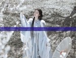 Jerry Babys Hanfu Skirt:A Journey into Traditional Chinese Fashion