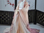 The Splendid Splendor of Song Hanfu:The Allure of Wanshou Ming Style