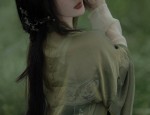 Golden Silk Velvet Cheongsam:Unveiling a Brand Icon