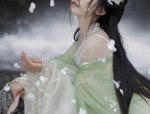 Winter Cotton Cheongsam:A Traditional Elegance in Cold Weather