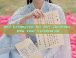 Traditional Elegance Reimagined:The New Chinese Style Cheongsam-Style Skirt Set for Women