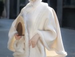 The Enchantment of Winter Hanfu Puffing Robes