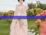 Plus-Size Tang-Style Chinese Traditional Womens Clothing:Embracing the Beauty of Chinese Heritage