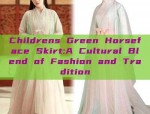 The Splendor of Ming-Style Hanfu:A Red上衣的 Cultural Journey