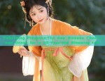 The Charm of Miniature Figures in Ancient Chinese Womens Hanfu Costumes