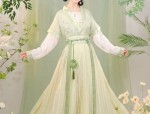 Daily Life of a Modern Hanfu Woman
