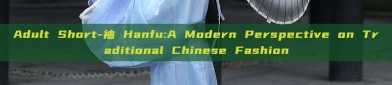 Adult Short-袖 Hanfu:A Modern Perspective on Traditional Chinese Fashion