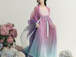 The Splendor of Cheongsam with Golden Silk Velvet