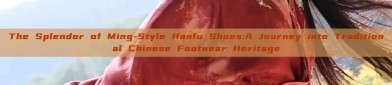 The Splendor of Ming-Style Hanfu Shoes:A Journey into Traditional Chinese Footwear Heritage