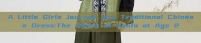 A Little Girls Journey into Traditional Chinese Dress:The Charm of Hanfu at Age 2