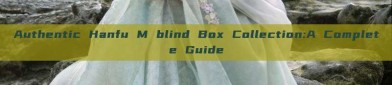 Authentic Hanfu M blind Box Collection:A Complete Guide