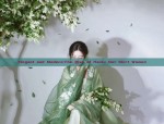 Elegant and Modern:The Rise of Hanfu Net Skirt Women