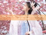 Umbrellas as Props for Hanfu Photo Sessions:A Guide to Capturing Traditional Elegance