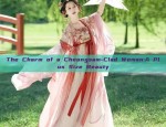 The Splendor of Cheongsam Shoes:Embracing the Chinese Fashion Heritage