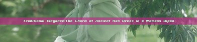 Traditional Elegance:The Charm of Ancient Han Dress in a Womans Qipao