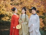 Elegance in Traditional Chinese Style:The Story of Yifei Cheongsam