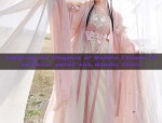 Original and Authentic Hanfu Tang Style:Unraveling the Essence of Traditional Chinese Elegance