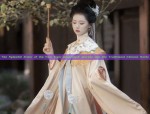 Hanfu Hair Accessories in Song Dynasty Style:A Closer Look into Traditional Beauty