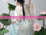 Chinese Traditional Costume for Women:Winter Adult Ancient Style Clothes