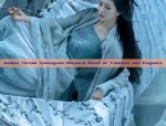Reimagining the Cheongsam:Innovations in Chiffon Dress Design