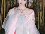 The Seductive Charm of Cheongsam:A Cultural Icon of Chinese Elegance